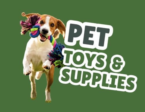 Latest company Solutions about What are common pet supplies?