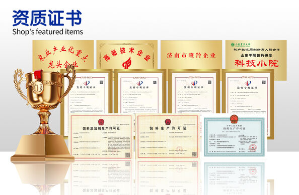 Rongshengchang Investment Group (Hainan) Co., Ltd.