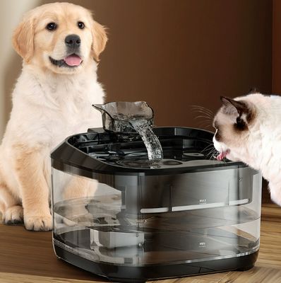 Bom preço Dispensador de fonte de água para cães de 2 galões em aço inoxidável para dispositivos inteligentes para animais de estimação on-line