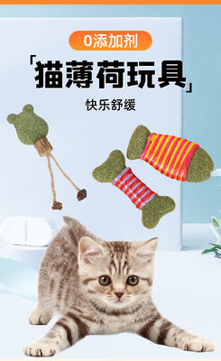 Bon prix Nouvel ensemble de jouets d’herbe à chat personnalisé - Jouets d’auto-divertissement et de dentition pour chats en ligne