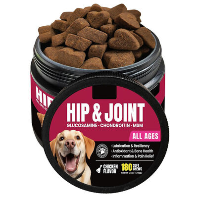 Pet Chondroitin Supplement Chews with Dual-Action Hip & Joint Care for Active & Senior Pets in Delicious Chewable Texture